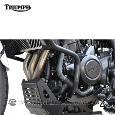 Piastra Paramotore Ibex per Triumph Tiger 800