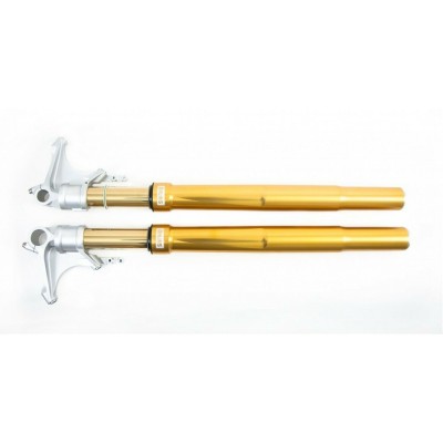 Forcella Ohlins R&T Gold Ducati 1198 2008 - 2011