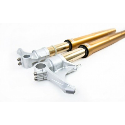 Forcella Ohlins R&T Gold Ducati 1199 Panigale 2012 - 2014