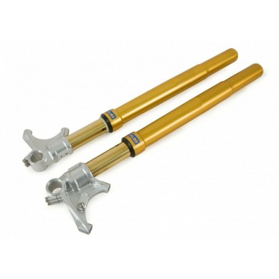 Forcella Ohlins R&T Gold Ducati 848 2008 - 2012