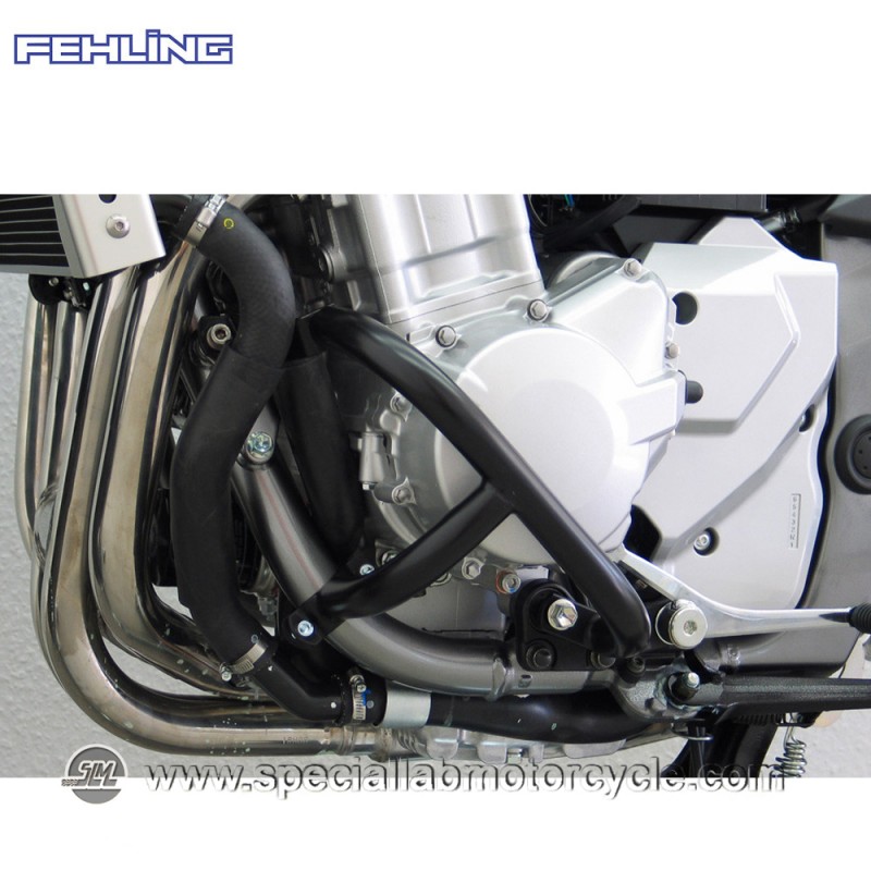 Paramotore Fehling Suzuki GSF 1250