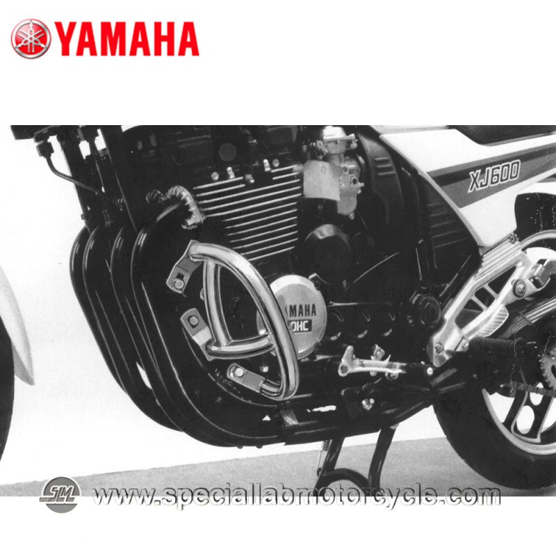 Paramotore Fehling Yamaha XJ 550 / 900