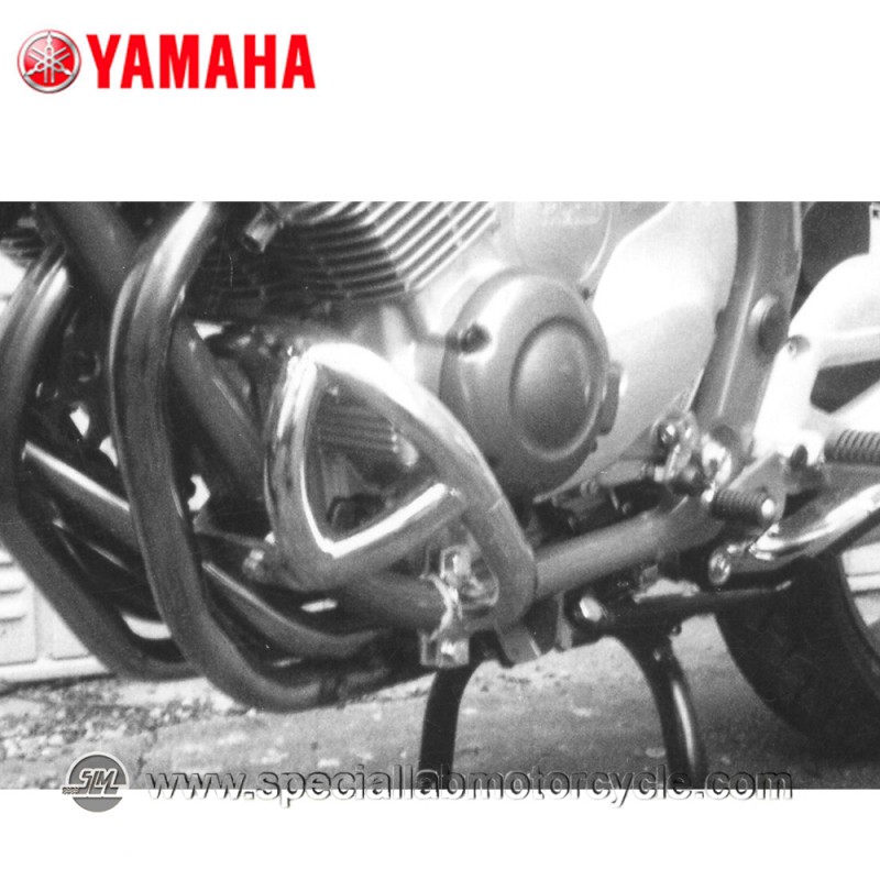 Paramotore Fehling Yamaha XJ 600 Diversion