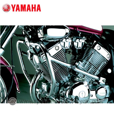 Paramotore Fehling Yamaha XV 535 Virago